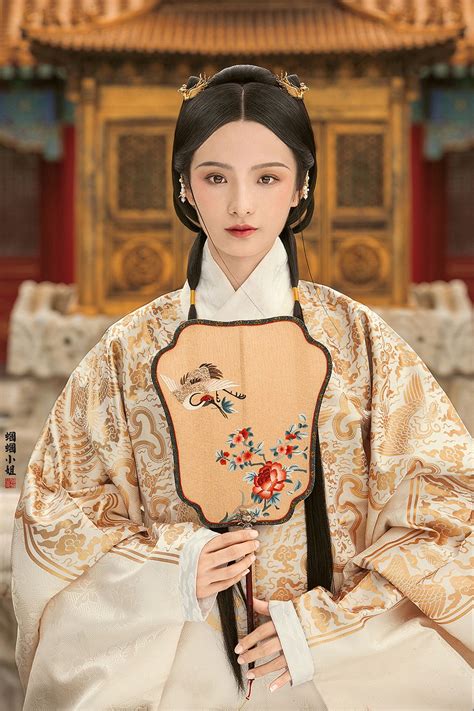 ming dynasty noblewomans silk dress  embroidered silk thread sleeves photographed