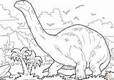 Coloring Brontosaurus Pages Dino Printable Paper sketch template