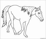 Horse Walking Pages Coloring Color Online sketch template