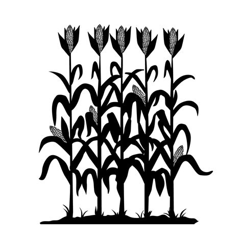 corn stalk silhouette clipart    cliparts  images