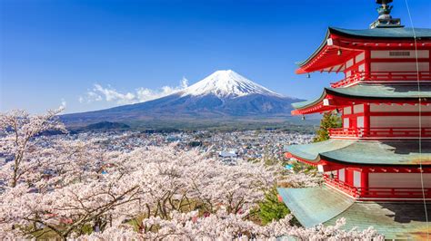 vakantie japan de mooiste japan reizen anwb