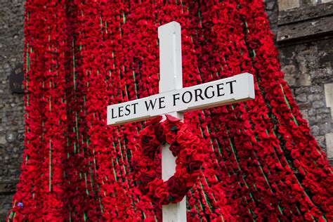 remembrance sunday   field