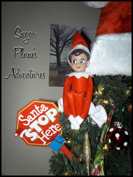 the halton mom elf on the shelf sugar plum s adventures ~ day 22