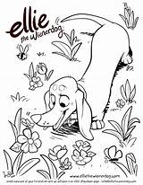 Coloring Ellie Pages Dog Spring Colouring Choose Board Wienerdog Puppies sketch template