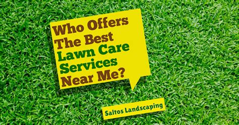 professional lawn care services healthy lawns   time