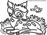 Ausmalbilder Tiere Tierbabys Malvorlagen Einzigartig Herbst Arche Ausmalen Tierbaby Malvorlage Vorstellung Ganzes Verwandt Okanaganchild Wasser Kinderbilder Mytie sketch template