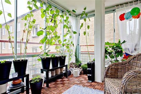 indoor garden designs decorating ideas design trends premium
