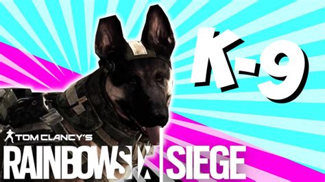 dog operator  rainbow  siege youtube