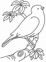 Coloring Pages Bird Preschoolers Birds Kids Printable Popular sketch template