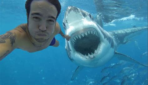 la folie des selfies est plus meurtrière que les attaques de requins