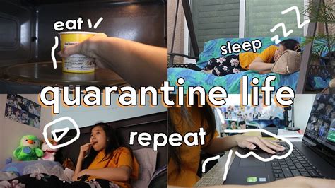 a day in quarantine eat sleep repeat youtube