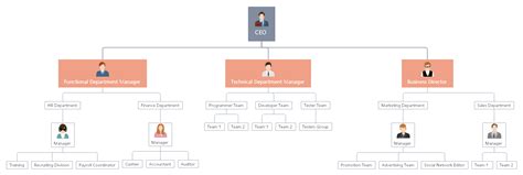 7 types of organizational charts with examples