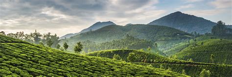 Visit Munnar On A Trip To India Audley Travel