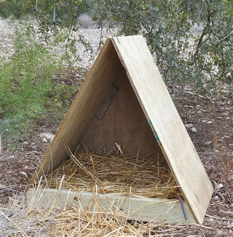 farm natters project domestic goose nesting boxes