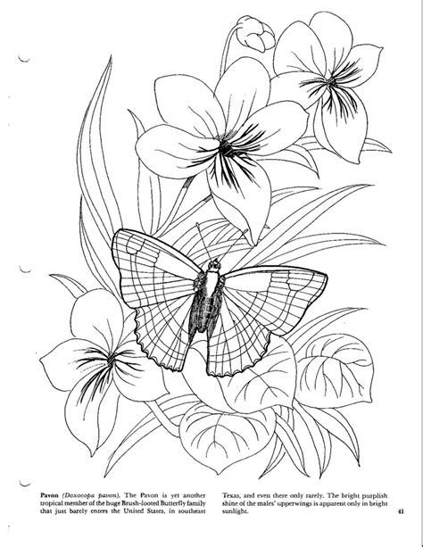 butterflies coloring book printable flower coloring pages