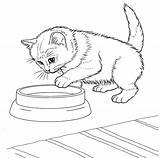 Kitten Coloring Pages Javanese Supercoloring Via sketch template