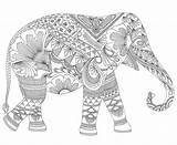 Coloring Pages Elephant Adults Adult Book Choose Board sketch template