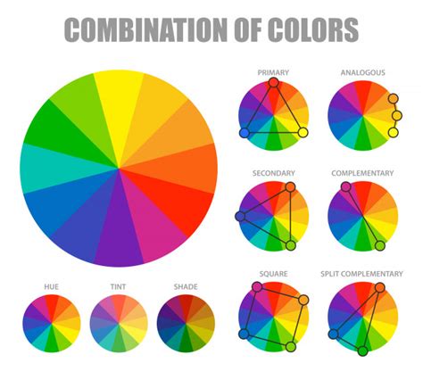 color combination scheme infographic  vector nohatcc