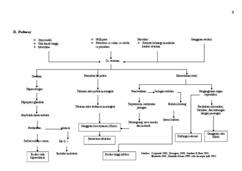 Pathway Histerektomi Pdf