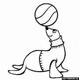 Seal Coloring Pages Foca Sea Para Cute Life Clipart Library Thecolor sketch template