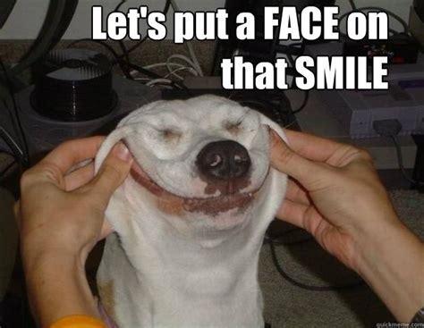 31 Very Funny Smile Meme S Pictures Images And Photos