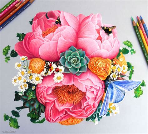 stunning  realistic color pencil drawings  morgan davidson