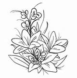 Blumen Ausmalbilder Lillies Zum Ausdrucken Surfnetkids Coloring Ausmalen Malvorlagen Bilder sketch template