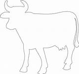 Cow Silhouette Outline Silhouettes Coloring Pages Svg sketch template