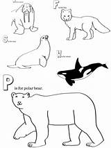Arctic Preschoolers Artic Miniaturemasterminds Antarctic Tundra Suggestions Requests Corrections sketch template