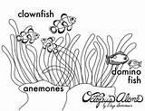Anemone Sea Coloring Drawing Pages Getcolorings Print Color Getdrawings Printable sketch template