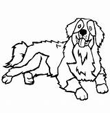 Bernese Hond Pyrenees Honden Bernersennen Pies Kolorowanki Rysunek Pasterski Drawing Colouring Zwierzęta Domowe Obraz Puppy Hondje Moeilijk Tekeningen Breeds Zwierzętami sketch template