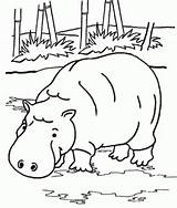 Hippo Bamboos sketch template