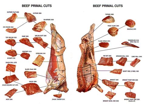 pin  meat charts