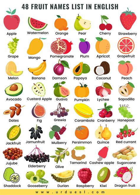 names  fruits  english fruits names  kids