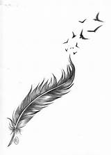Feathers Tattoos Feder Steemit sketch template