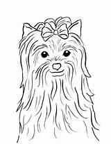 Terrier Yorkie Cairn Dentistmitcham sketch template