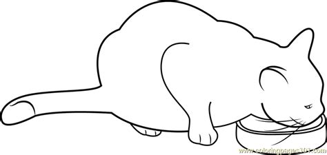cat eating  food printable coloring page  kids  adults
