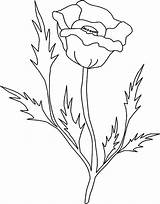 California Rush Coloring Pages Gold Getcolorings Poppy sketch template