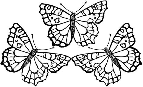 printable butterfly coloring pages  getdrawings