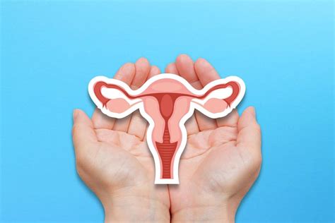 gynesonics secures   uterine fibroids device expanded rollout