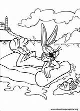 Pernalonga Patolino Looney Tunes sketch template