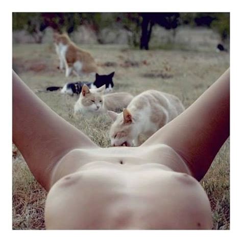 Chat sexe femme