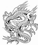 Dragon Coloring Pages Adults Printable sketch template