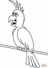 Parrot Coloring Cartoon Pages Parrots Supercoloring Printable African Grey Two Drawing Categories sketch template