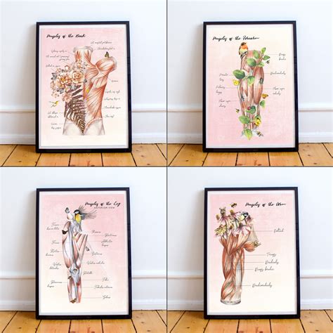 chiropractic poster floral anatomy watercolor muscular system etsy uk