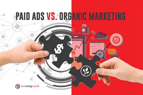 Paid Ads Vs Organic Marketing Your Listing Expert