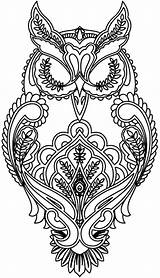 Coloring Pages Animal Adults Owl sketch template
