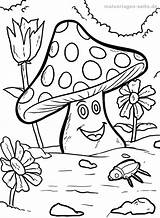 Pilze Pilz Ausmalbild Malvorlage Malvorlagen Herbst Pflanzen Fliegenpilz Ausdrucken Blumenwiese Kostenlos Blumen Coloring Kinderbilder Lesen Pilzhaus sketch template