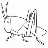 Grasshopper In19 2kids sketch template