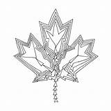 Leaf Maple Drawing Canadian Ca Abstract Colouring Coloring sketch template